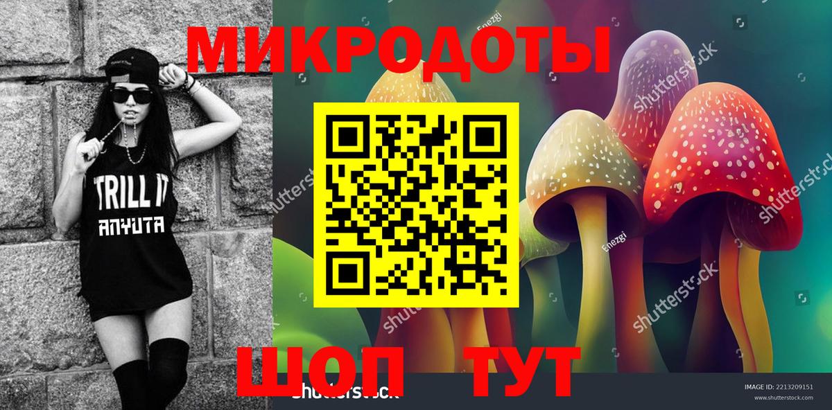Галлюциногенные грибы Psilocybine cubensis Ижевск