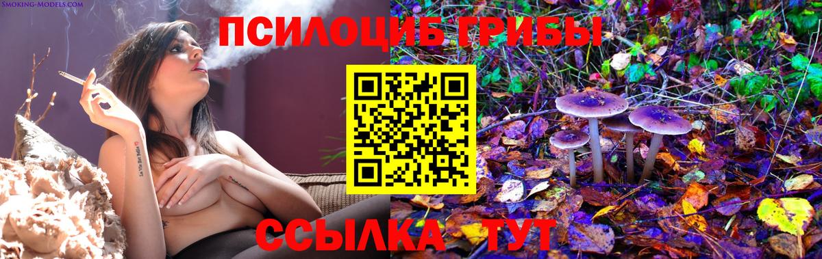 Псилоцибиновые грибы Cubensis  Вход с VPN  Ижевск 